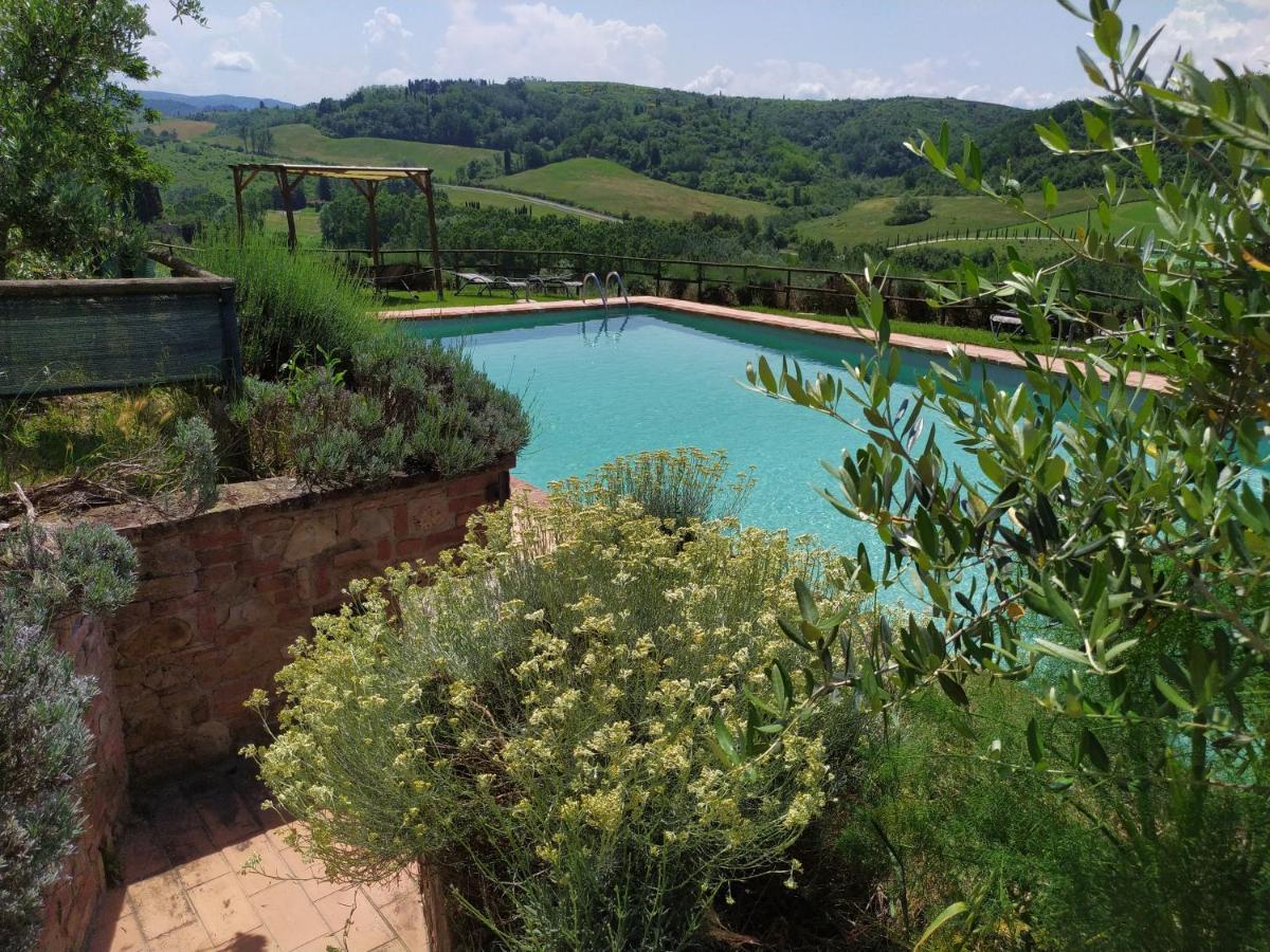Antonella House -Podere Della Collina パラーイア エクステリア 写真
