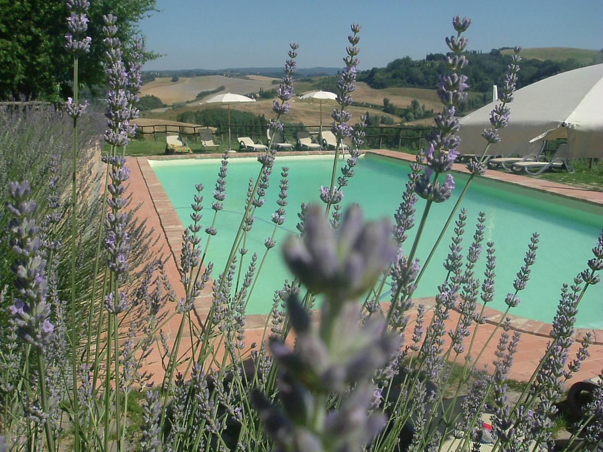 Antonella House -Podere Della Collina パラーイア エクステリア 写真